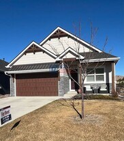 1912 Tidewater Ln in Windsor, CO - Building Photo