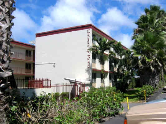 University Palms in Hilo, HI - Foto de edificio - Building Photo