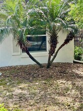 201 E Baker St in Minneola, FL - Building Photo - Building Photo