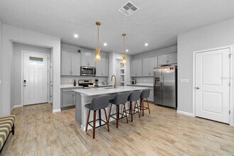 4236 Cloud Hopper Wy in Lutz, FL - Building Photo - Building Photo