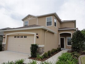 312 Westchester Hills Ln in Valrico, FL - Building Photo
