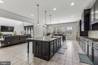 42058 Barrymoore Pl in Chantilly, VA - Building Photo - Building Photo