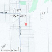 319 Pennsylvania Ave in Westville, IL - Building Photo