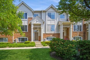 3388 Sanctuary Dr in Elgin, IL - Building Photo