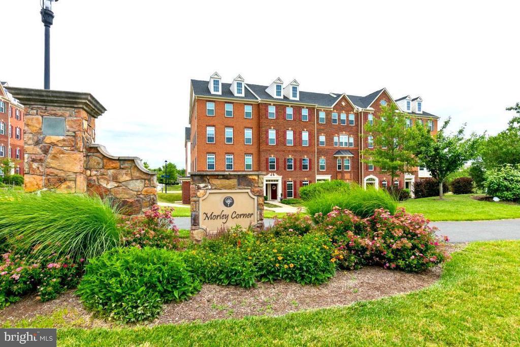 21584 Zuknick Terrace in Ashburn, VA - Building Photo