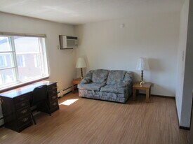 522 W Wilson St in Madison, WI - Building Photo