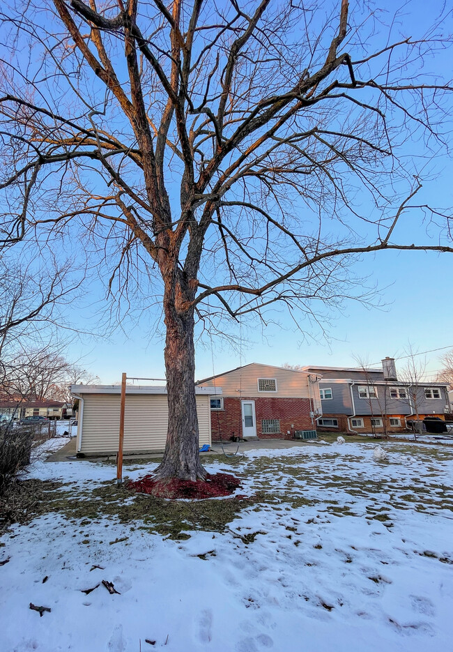 7449 Wilson Terrace in Morton Grove, IL - Building Photo - Building Photo