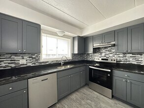 1408 Carol St in Park Ridge, IL - Foto de edificio - Building Photo