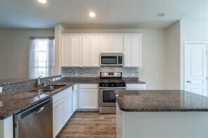 2722 Skyview Long Dr in Houston, TX - Building Photo - Building Photo