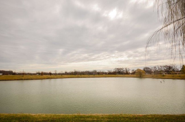 Water View Apartments in Addison, IL - Building Photo - Building Photo