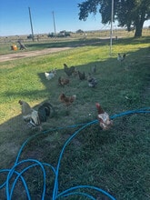 390 Little Rd in Conrad, MT - Building Photo - Building Photo