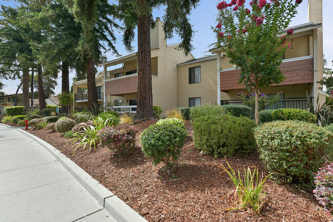 Bart Springs Apartments in Hayward, CA - Building Photo - Building Photo