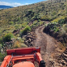 4 Peters Ln in Alpine, TX - Building Photo - Building Photo