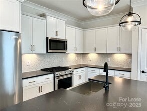 15906 Parkside crossing Dr in Charlotte, NC - Building Photo - Building Photo