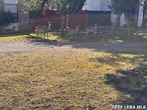 514 Fossel Pass St in San Antonio, TX - Building Photo - Building Photo