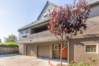 Clay Residences in Santa Cruz, CA - Building Photo - Building Photo