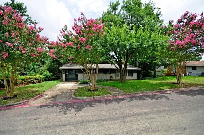 5103 Orleans Ct in Austin, TX - Building Photo - Building Photo