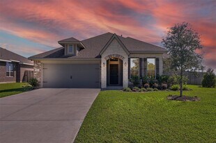 243 Racetrack Ln in Montgomery, TX - Building Photo