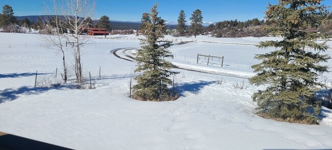 1185 Hersch Ave in Pagosa Springs, CO - Building Photo - Building Photo