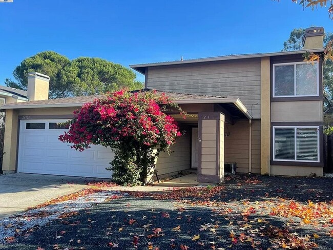 property at 24126 Machado Ct