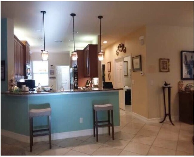 15617 Aurora Lake Cir in Wimauma, FL - Foto de edificio - Building Photo