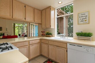 3525 Cameo Dr in Oceanside, CA - Building Photo - Building Photo