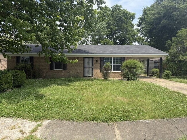 property at 905 Maple Dr