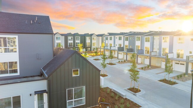 Lupine Longmont in Longmont, CO - Foto de edificio - Building Photo