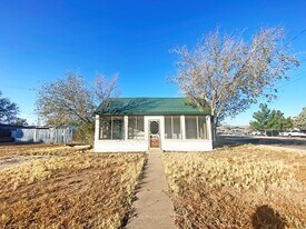 109 N 11th St in Alpine, TX - Building Photo