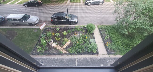 6442 N Glenwood Ave, Unit 2 in Chicago, IL - Building Photo - Building Photo