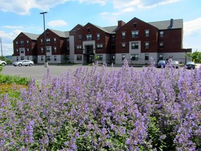 Nittany Village - Student Housing in Middletown, PA - Building Photo - Building Photo