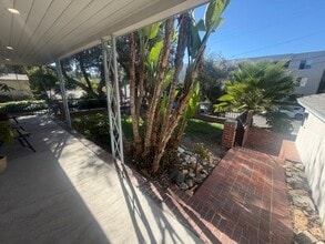 3645 Monon St in Los Angeles, CA - Foto de edificio - Building Photo