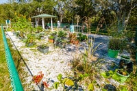 Apartments in Indian Rocks Beach, FL