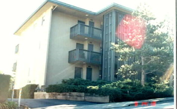 Hutton Terrace Apartments in Belmont, CA - Building Photo - Building Photo