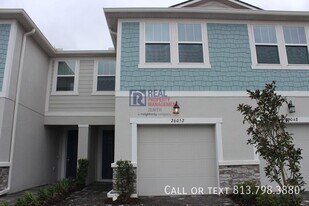 26052 Woven Wicker Bnd in Lutz, FL - Building Photo