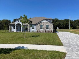 10060 Dolphin Gull Cir in Thonotosassa, FL - Building Photo