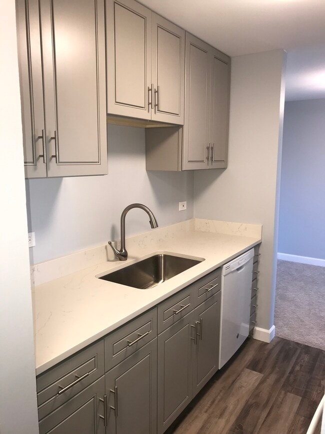 4 Oak Creek Dr in Buffalo Grove, IL - Foto de edificio - Building Photo