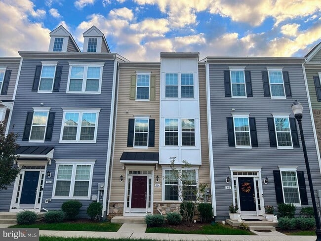 304 Spring Bank Way in Frederick, MD - Building Photo - Building Photo