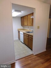 809 Logan St in Salisbury, MD - Building Photo - Building Photo