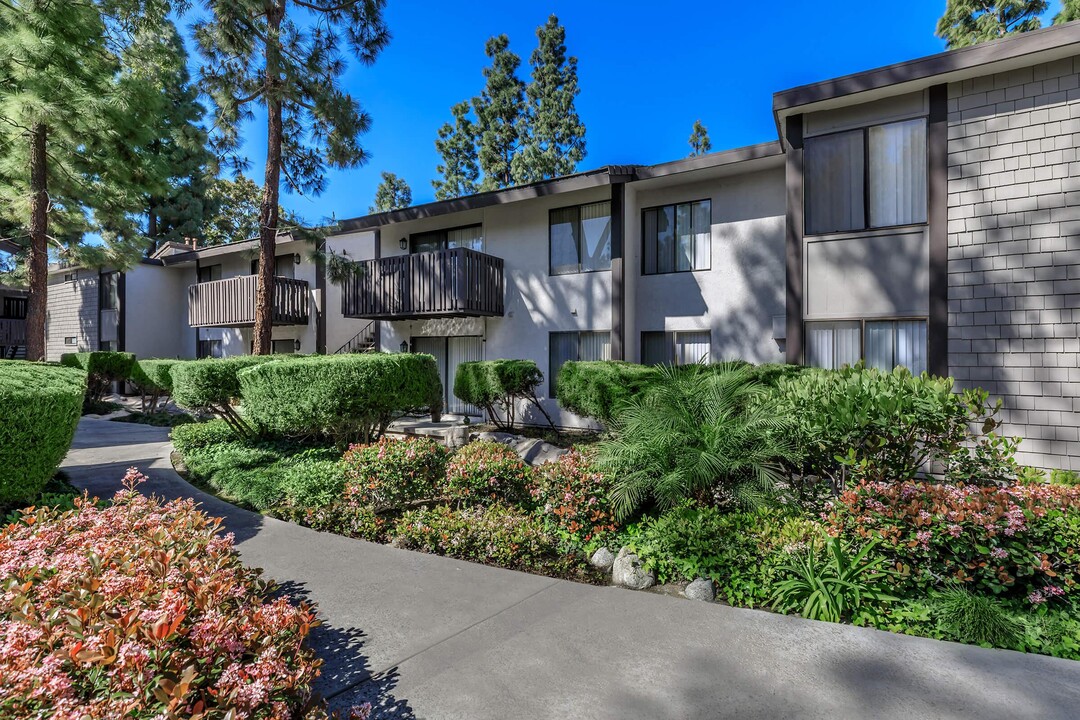 Cherry Creek Apartments in Santa Ana, CA - Building Photo