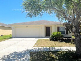30914 Temple Stand Ave in Wesley Chapel, FL - Building Photo