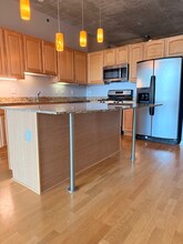 125 E 13th St in Chicago, IL - Building Photo - Building Photo