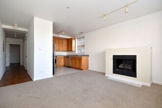 1327 N Halsted St in Chicago, IL - Building Photo - Building Photo