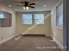 150 E Chestnut St in Asheville, NC - Building Photo - Building Photo