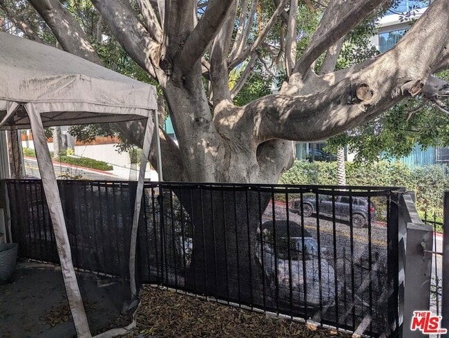 1323 N Olive Dr in West Hollywood, CA - Building Photo - Building Photo