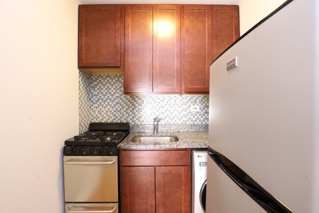 553 W Arlington Pl in Chicago, IL - Building Photo - Building Photo