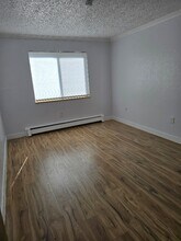 1008 Corona St in Denver, CO - Building Photo - Building Photo