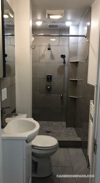 254 Windsor St in Cambridge, MA - Building Photo - Building Photo
