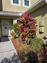 11229 Kapok Grand Cir in St. Petersburg, FL - Building Photo - Building Photo