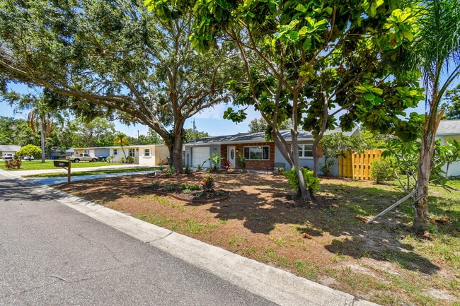 528 Manor Dr in Dunedin, FL - Building Photo - Building Photo